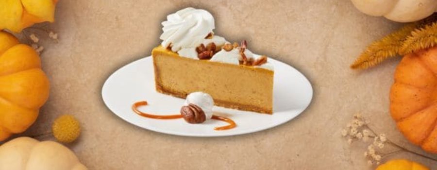 pumpkin-cheesecake-berlin-germany