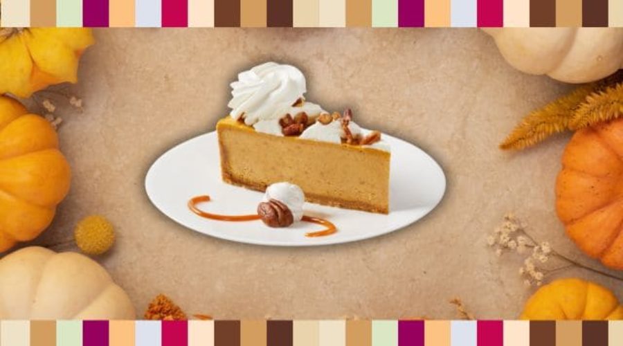 pumpkin-cheesecake-berlin-germany